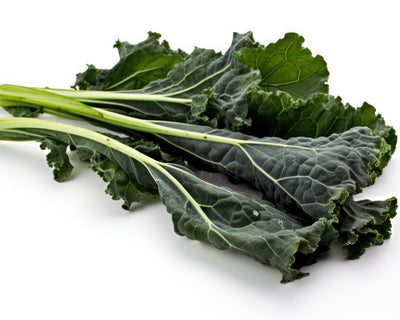 Cavolo Nero