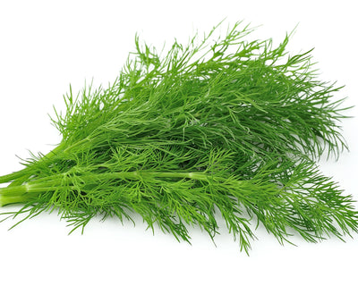 Fennel Greens (500g)