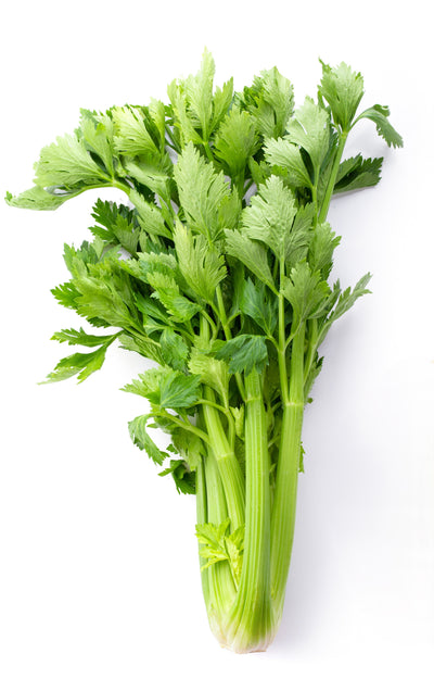 Celery