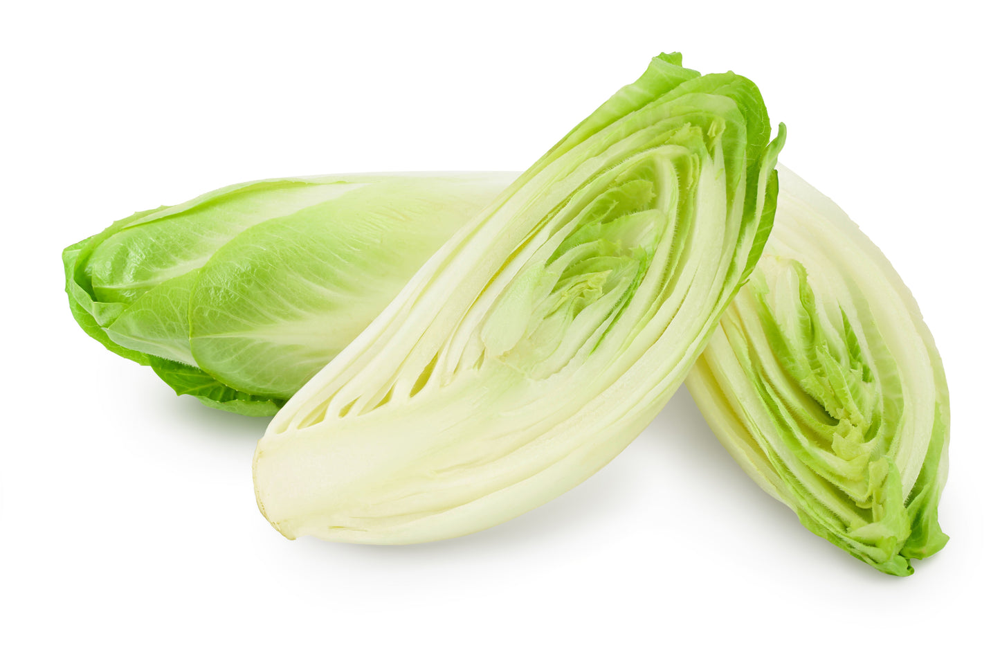 Chicory