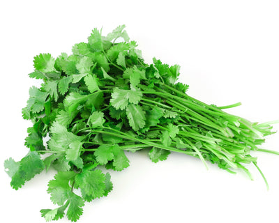 Coriander