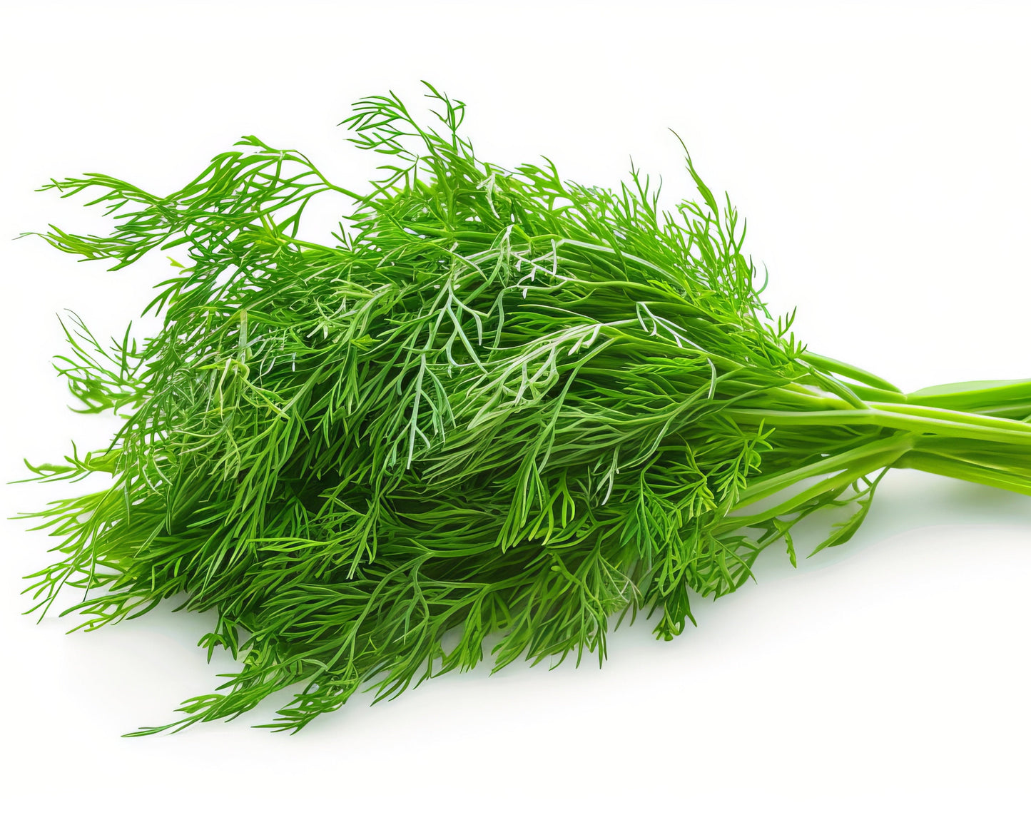 Dill