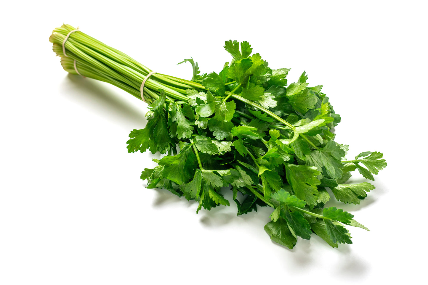 Flat Leaf Parsley