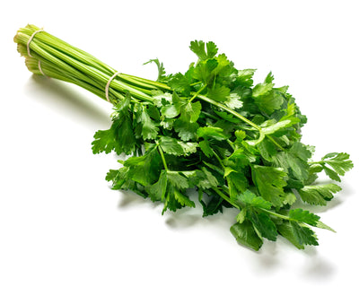 Flat Leaf Parsley