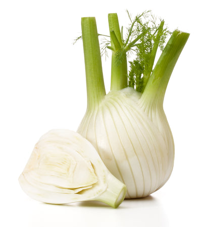 Fennel
