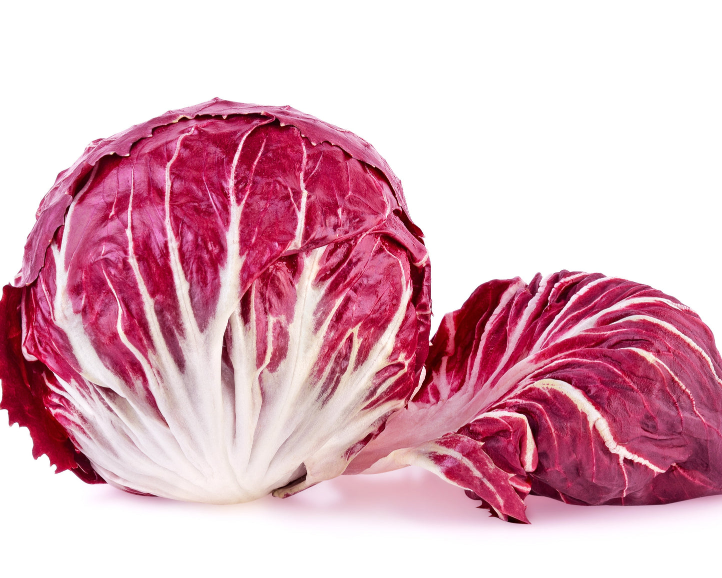 Radicchio