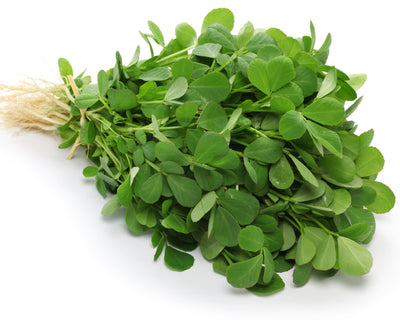 Fenugreek