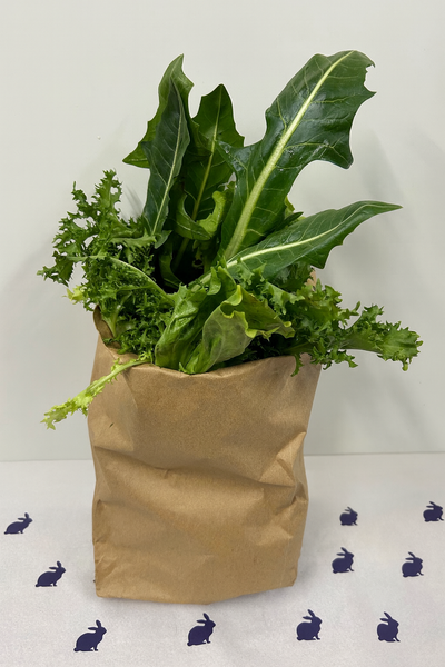 Salad Leaf Bag (500g)