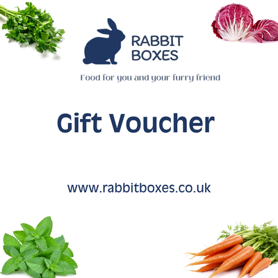 Gift Voucher