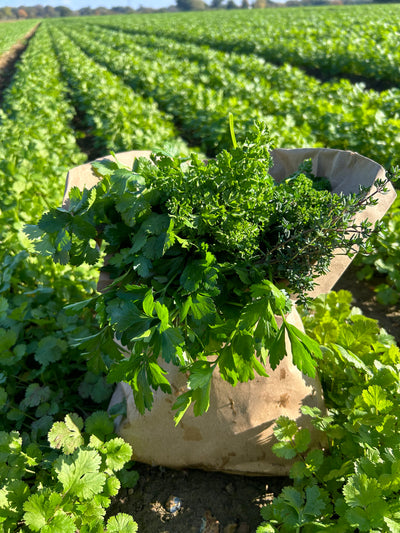 Mixed Herb Bag