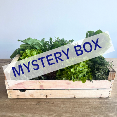 Mystery Box